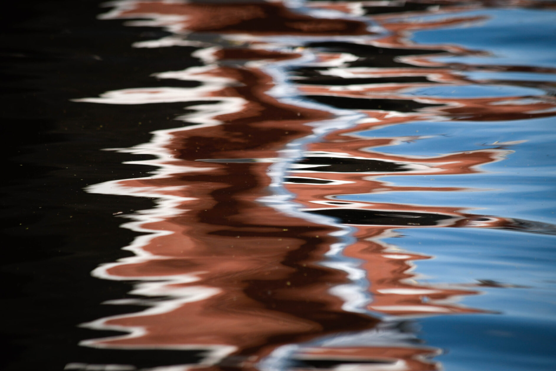 Safe Sport An Abuse Prevention Program USRowing